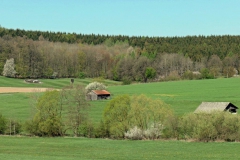 P1001691