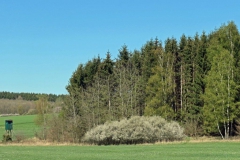 P1001692