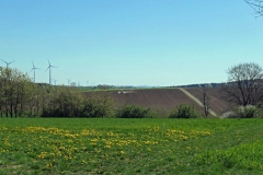 P1001694