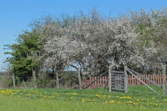 P1001695