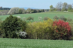 P1001697
