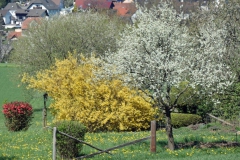 P1001699