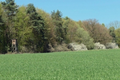 P1001704