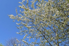P1001705
