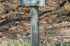 P1001706