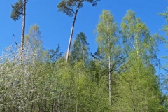 P1001707