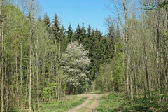 P1001714