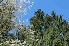 P1001715
