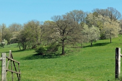 P1001719