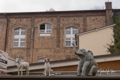IMG_8733_Kirn-Sulzbach_20190324