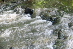 P1002471