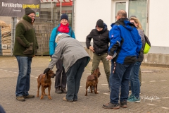 IMG_0203_Brezelwanderung_20200101