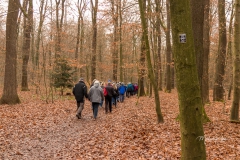 IMG_0209_Brezelwanderung_20200101