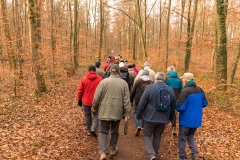IMG_0210_Brezelwanderung_20200101