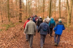 IMG_0211_Brezelwanderung_20200101