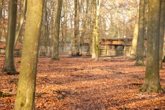 IMG_0222_Brezelwanderung_20200101
