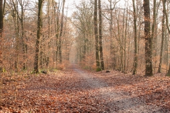 IMG_0227_Brezelwanderung_20200101