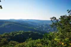 IMG-20200810-WA0002