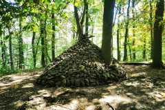 IMG-20200810-WA0004