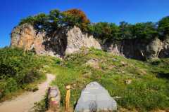 IMG-20200810-WA0009