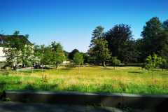 IMG-20200810-WA0013