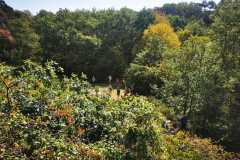 IMG-20200810-WA0015