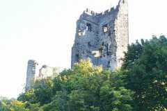 IMG-20200810-WA0029
