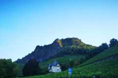 IMG-20200810-WA0032