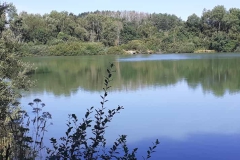 IMG-20220808-WA0005