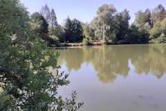 IMG-20220808-WA0007