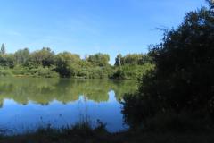 IMG-20220808-WA0039
