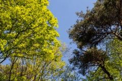 IMG_8791_GTW_Ostern_20190421