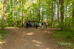 IMG_8793_GTW_Ostern_20190421