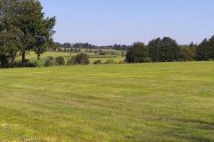 IMG-20190826-WA0010