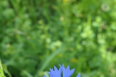 P1001846
