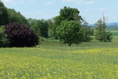 P1001857