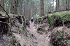 Pfad02_HohleGasse