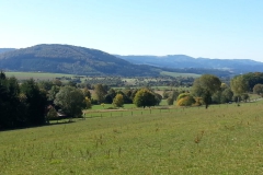 IMG-20181001-WA0013