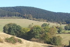IMG-20181001-WA0015